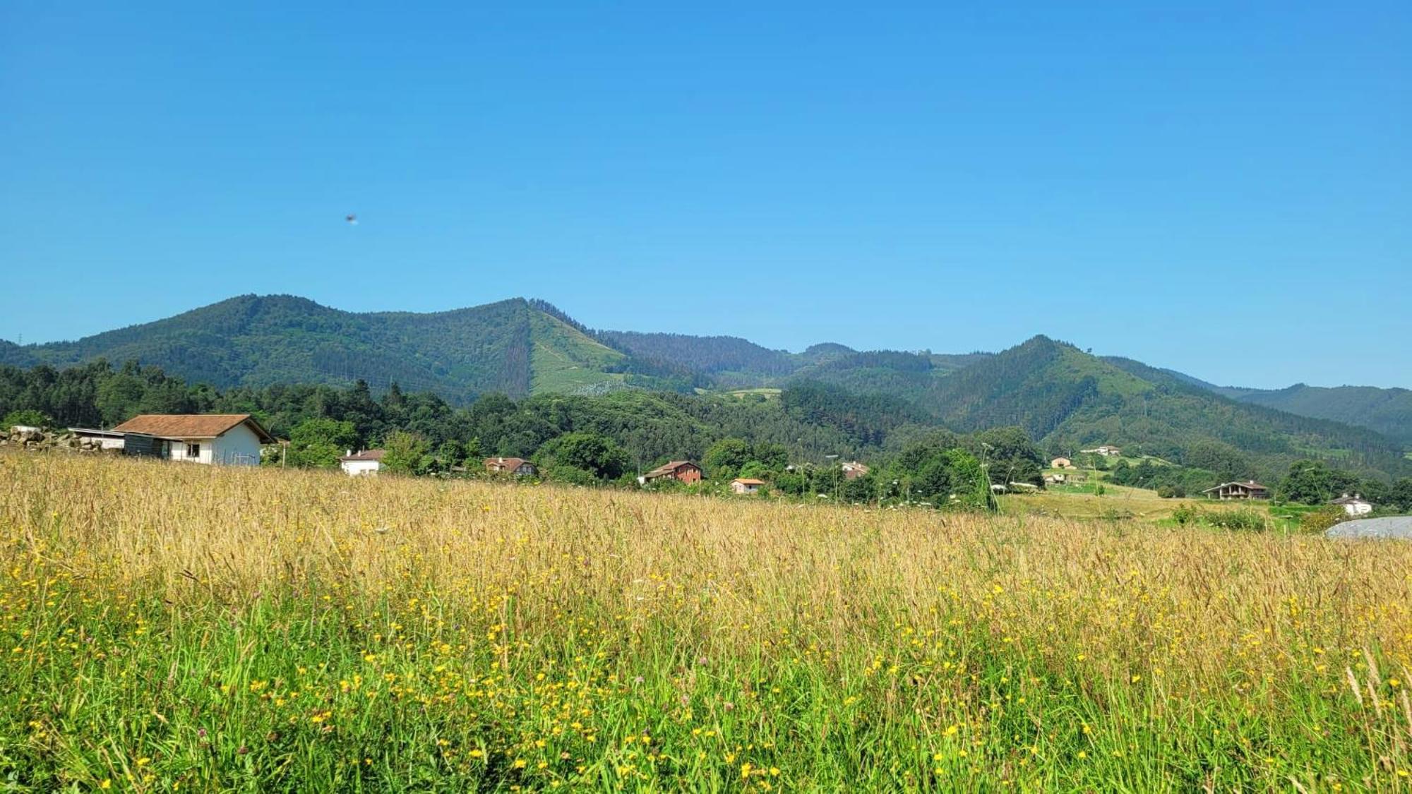 Hotel Aldori Landetxea - Reserva De La Biosfera Urdaibai - Adults Only 무지카 외부 사진